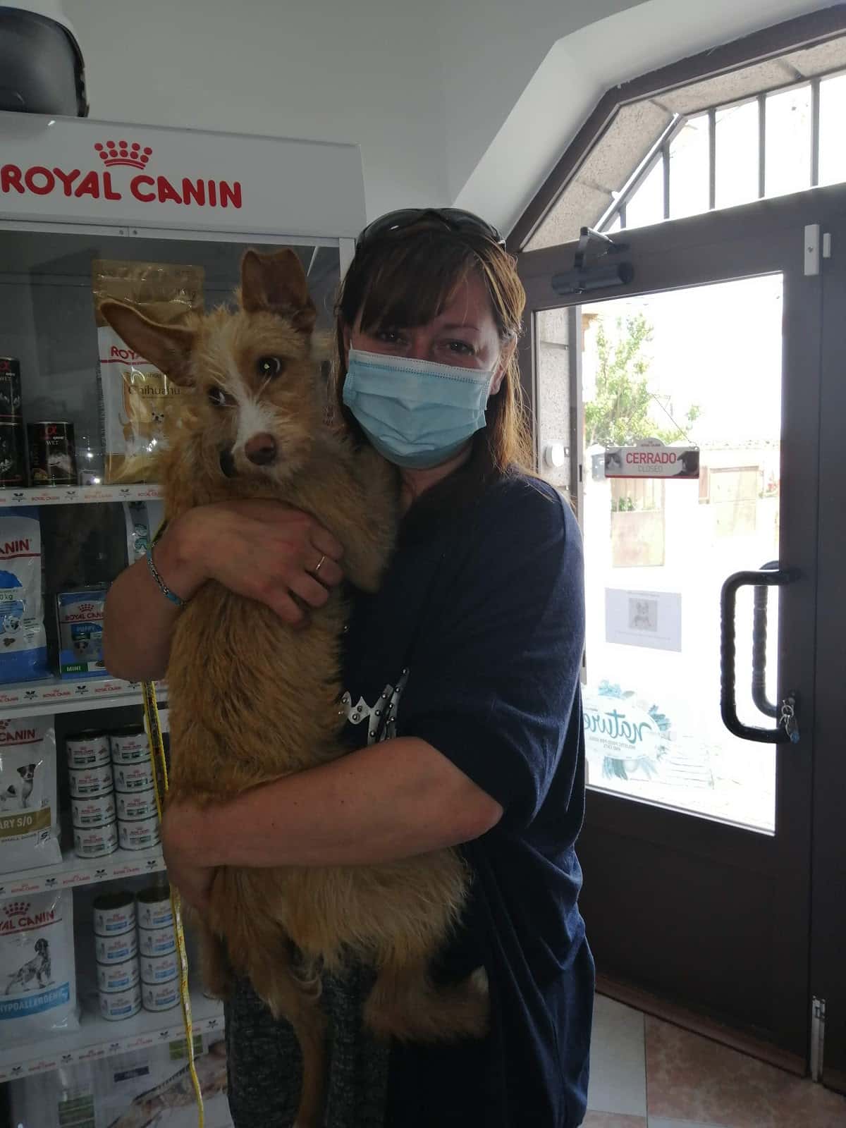 Centro veterinario I dog my cat