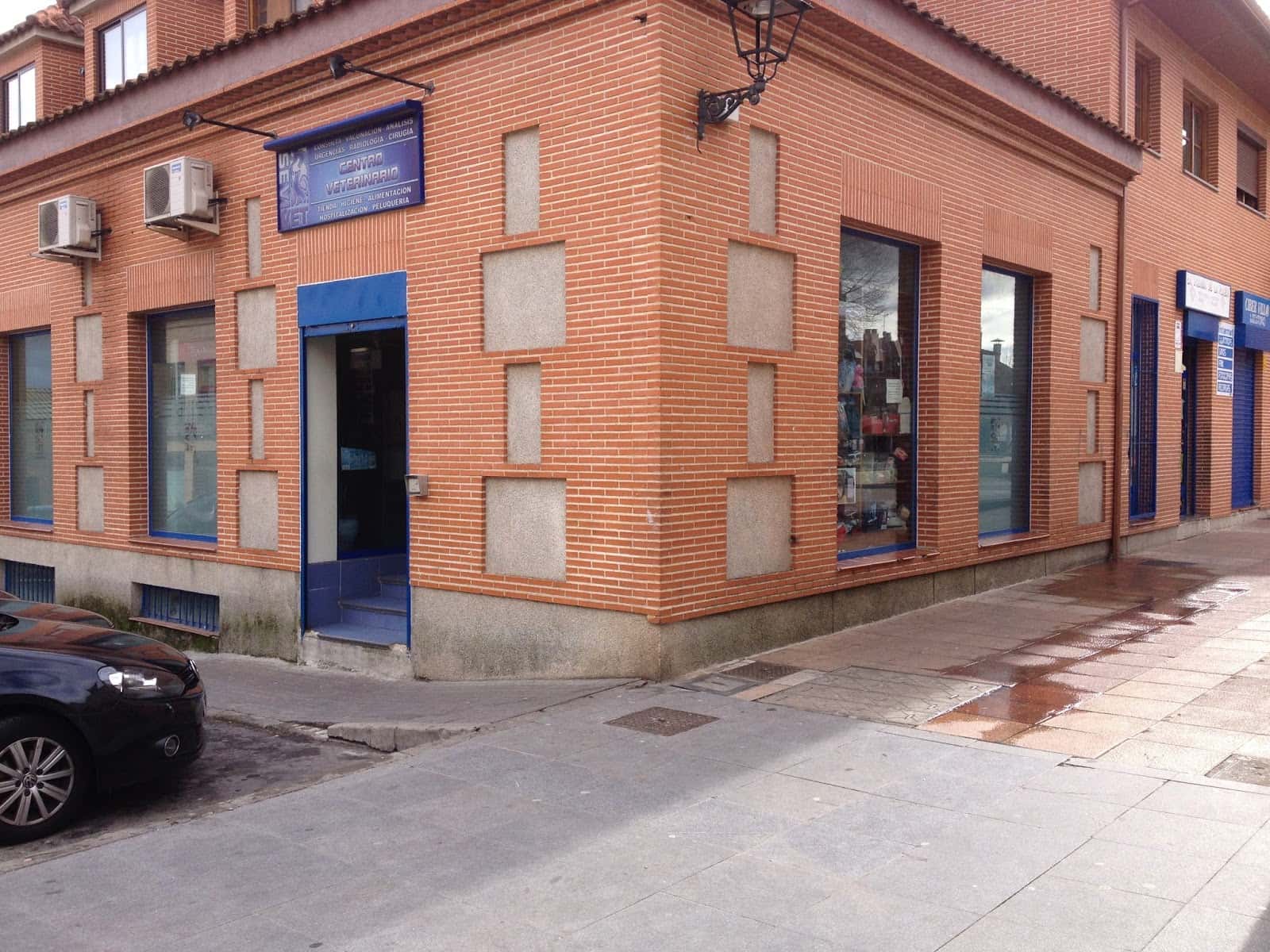 clinica veterinaria sevivet veterinario clinica en sevilla la nueva en madrid principalImage ADOPTA Sitios Pet Friendly