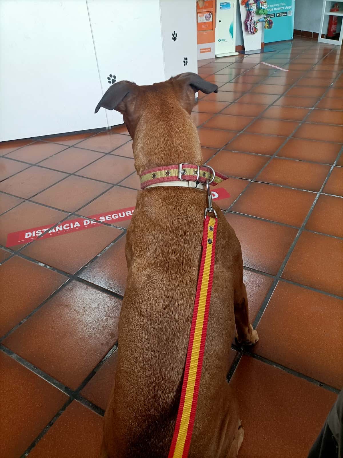 Centro Clínico Veterinario Val De Iglesias