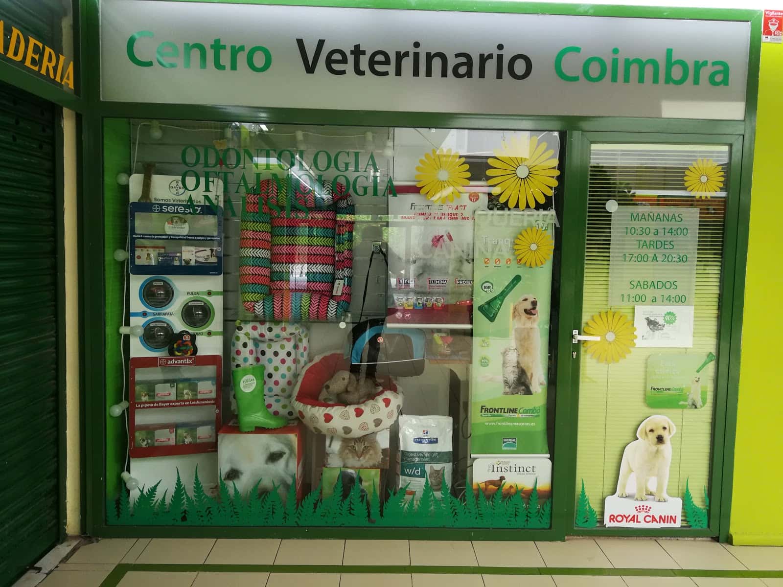 centro veterinario coimbra veterinario centro en parque coimbra en madrid principalImage ADOPTA Sitios Pet Friendly