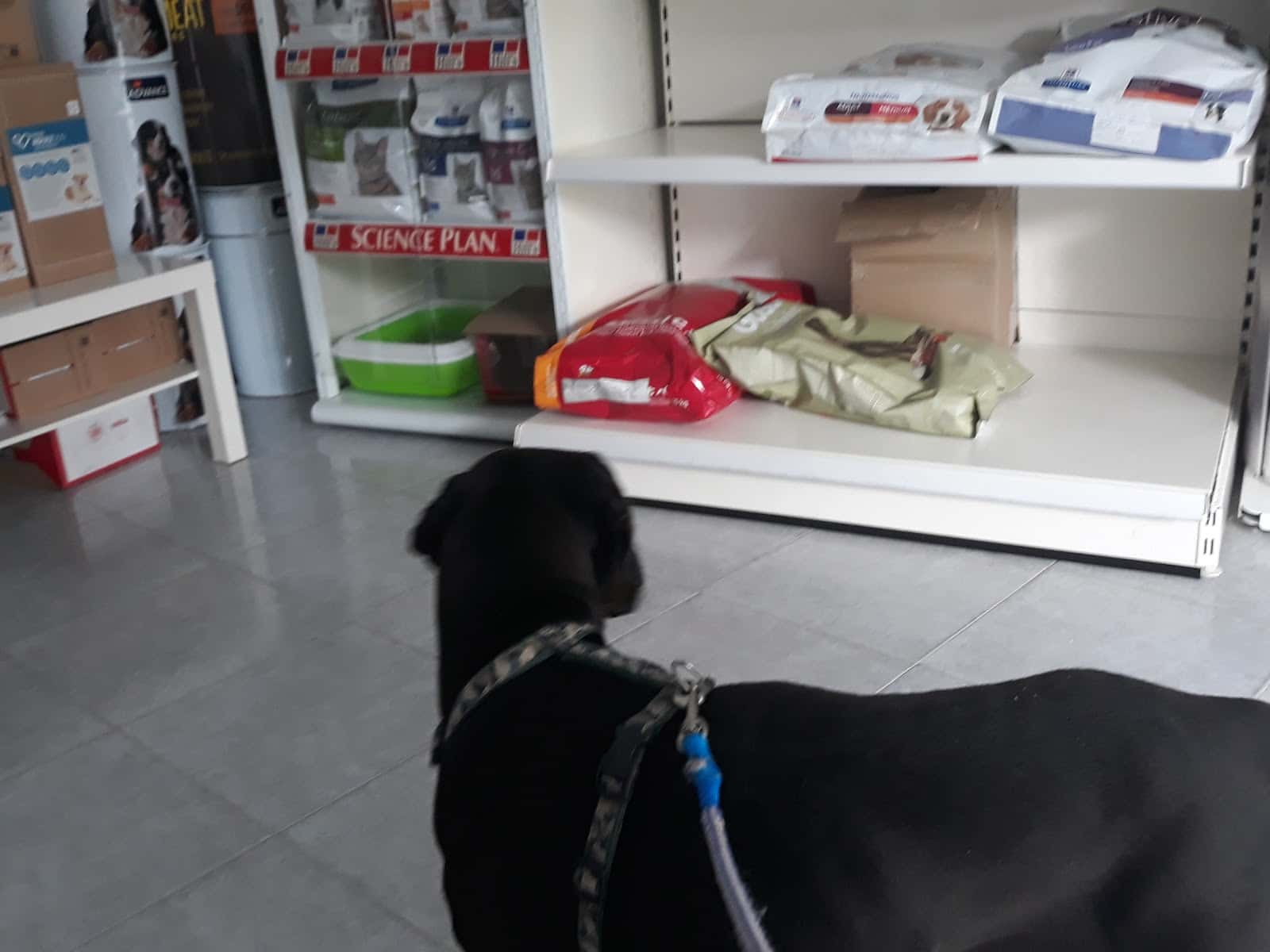 CLINICA VETERINARIA CHOZAS DE LA SIERRA