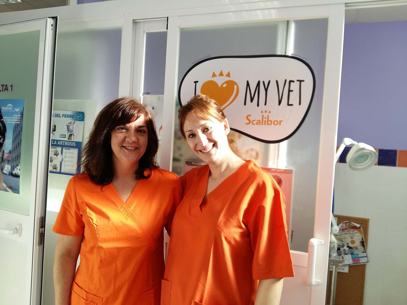 clinica veterinaria mentrida veterinario clinica en mentrida en toledo principalImage ADOPTA Sitios Pet Friendly