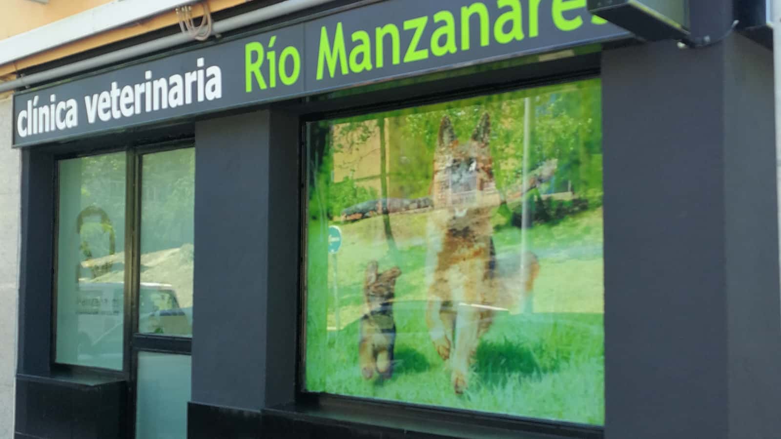 clinica veterinaria rio manzanares veterinario clinica en mostoles en madrid principalImage ADOPTA Sitios Pet Friendly