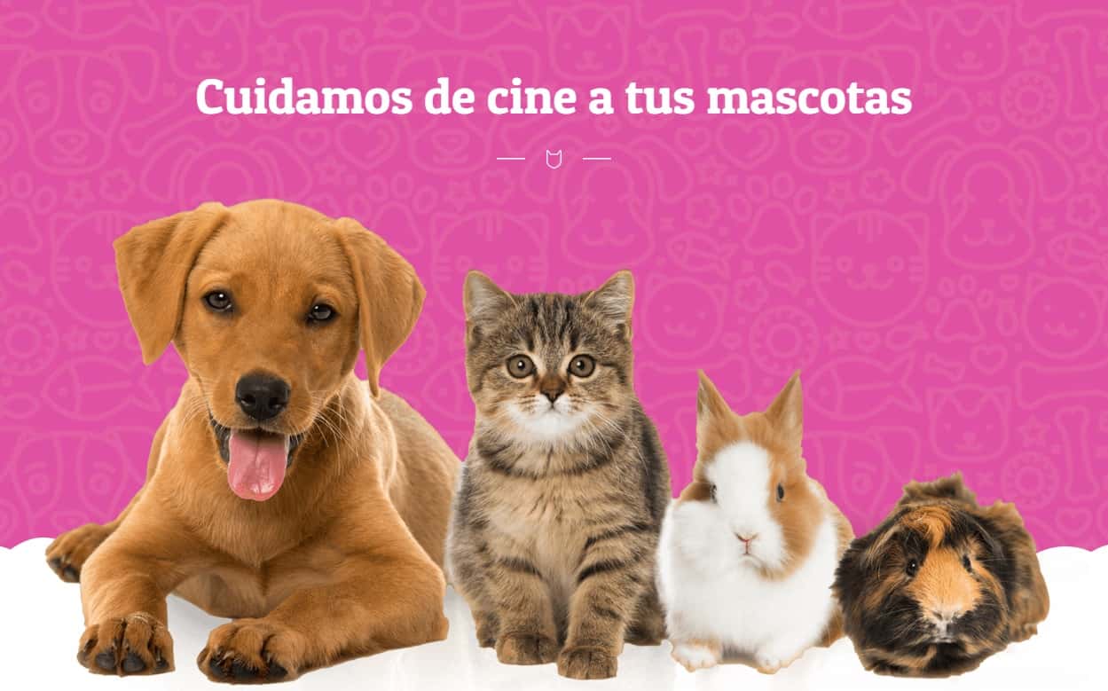 centro veterinario moviecan veterinario centro en los santos de la humosa en madrid principalImage ADOPTA Sitios Pet Friendly