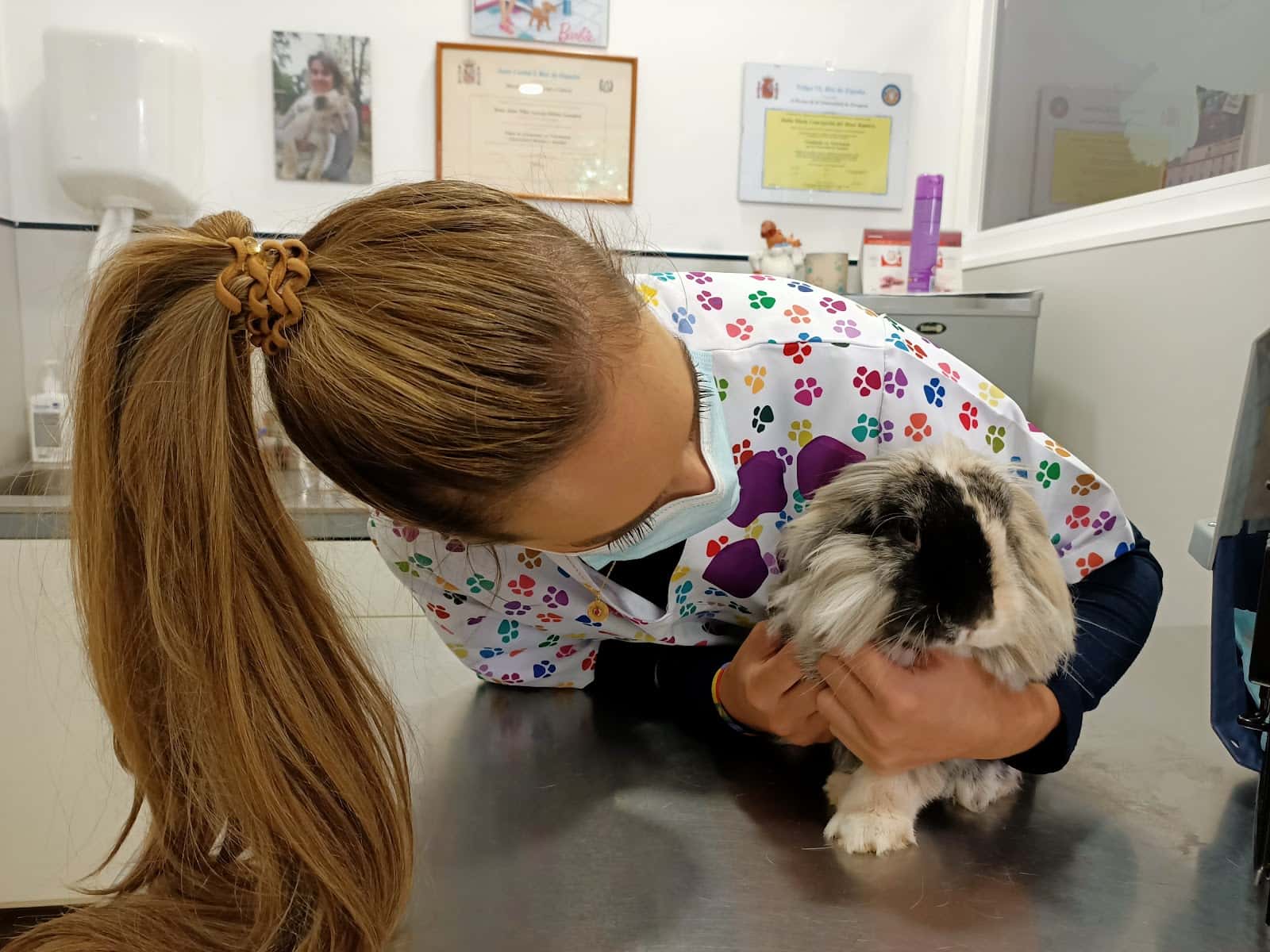 C Veterinario García Ochoa