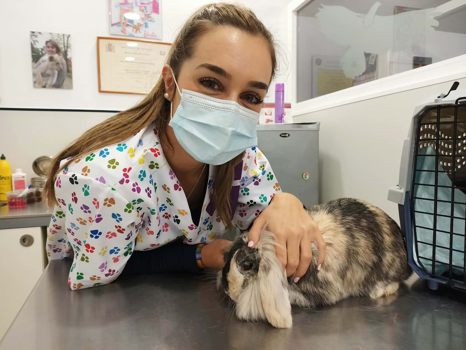 C Veterinario García Ochoa