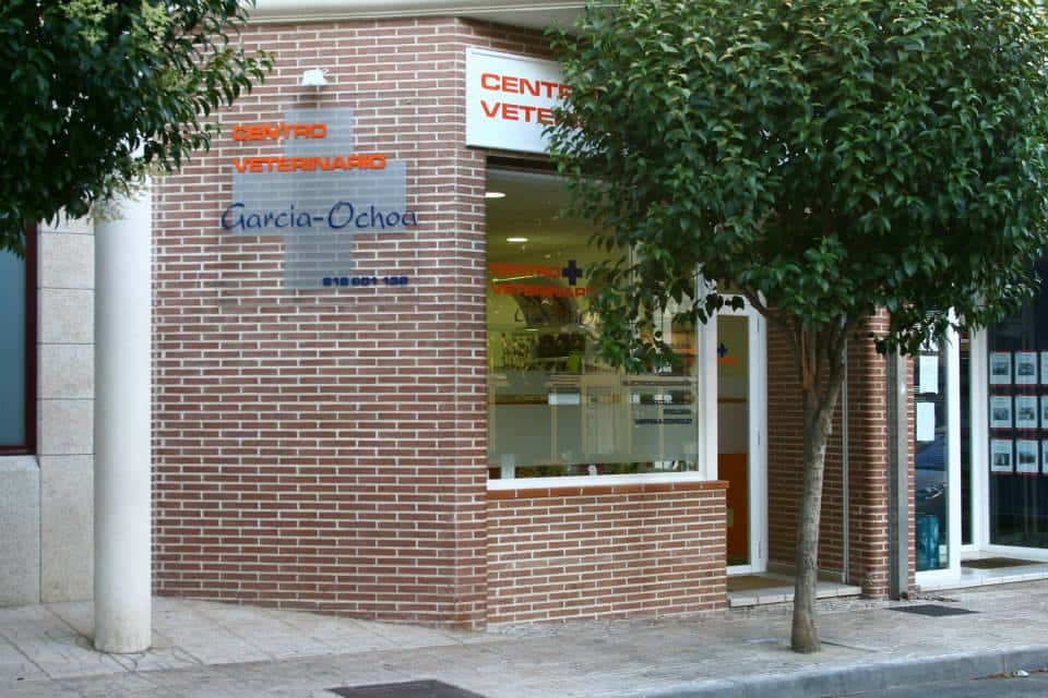 c veterinario garcia ochoa veterinario centro en sotillo de la adrada en avila principalImage ADOPTA Sitios Pet Friendly