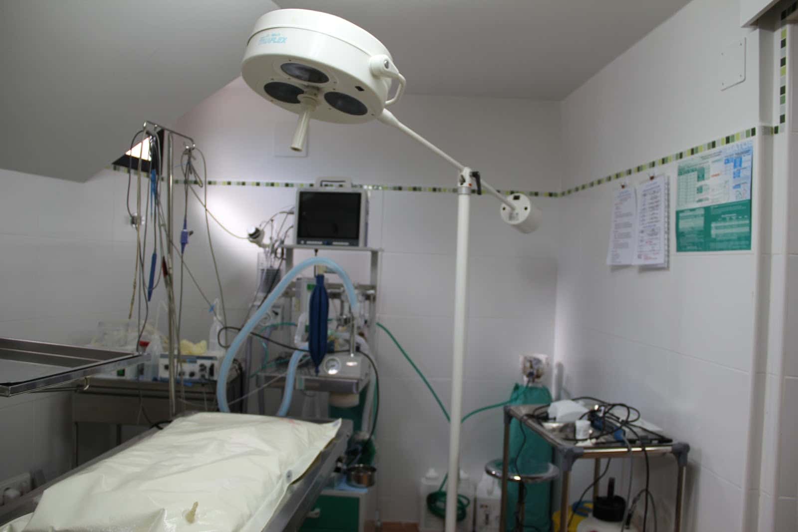centro veterinario sotivet sl veterinario centro en sotillo de la adrada en avila principalImage ADOPTA Sitios Pet Friendly