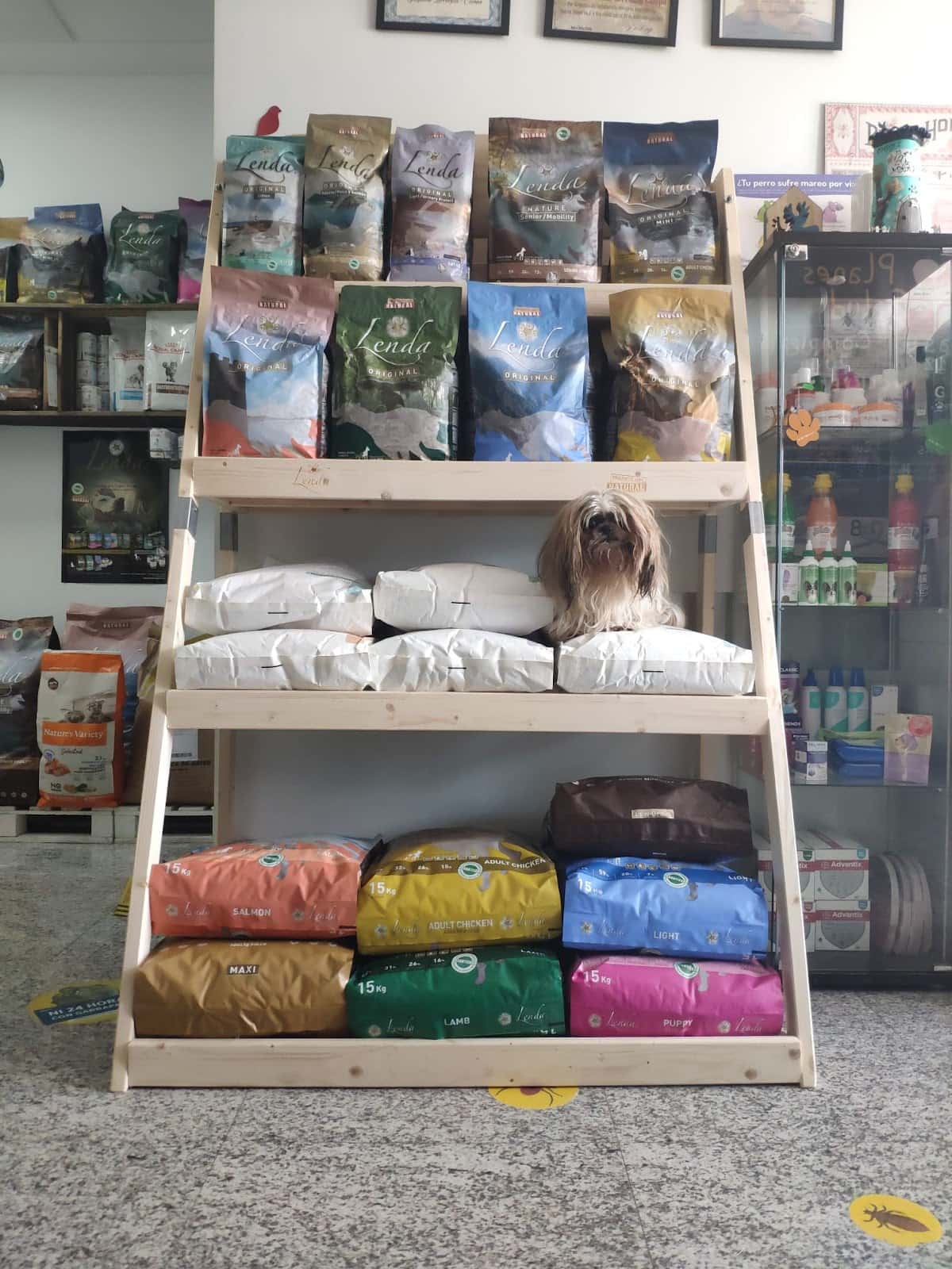MIROVET CENTRO VETERINARIO