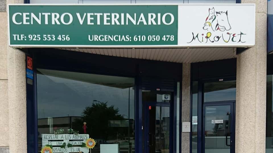 mirovet centro veterinario veterinario centro en yuncos en toledo principalImage ADOPTA Sitios Pet Friendly