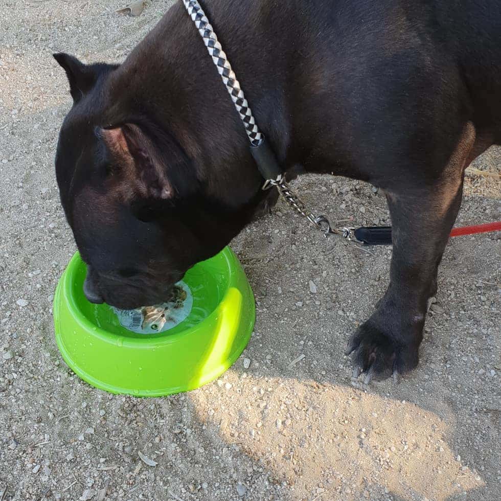 Centro Veterinario Yuncos