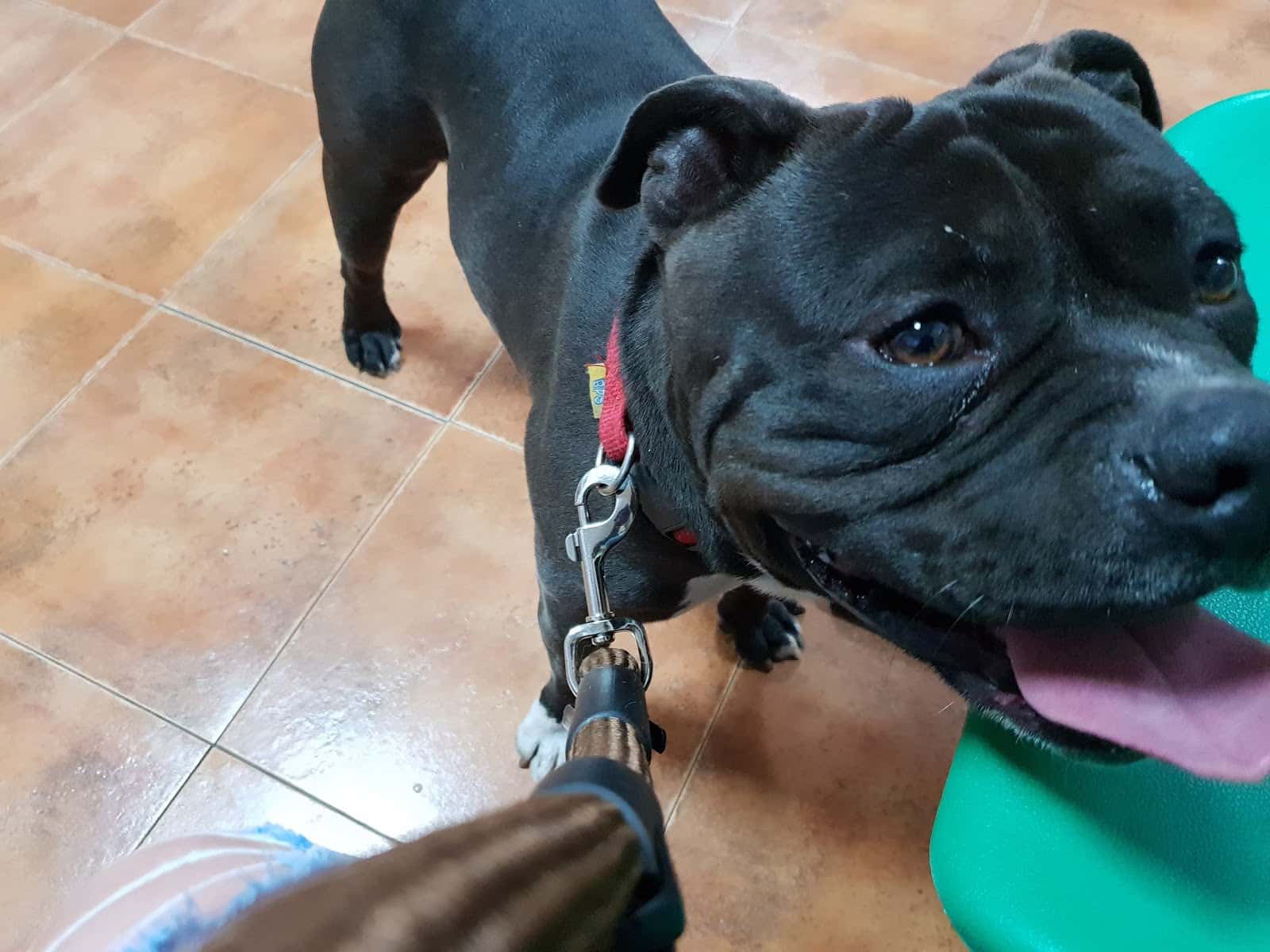 Centro Veterinario Yuncos