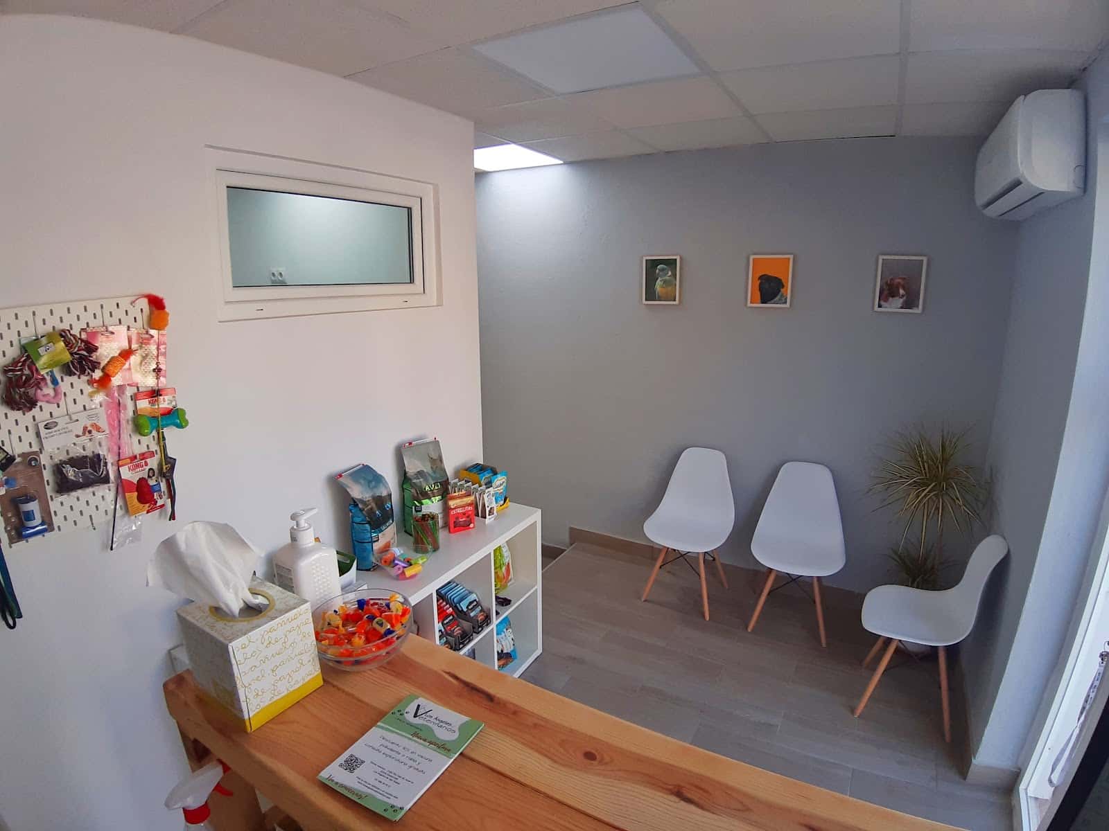 clinica veterinaria los angeles veterinarios veterinario clinica en los angeles de san rafael en segovia principalImage ADOPTA Sitios Pet Friendly