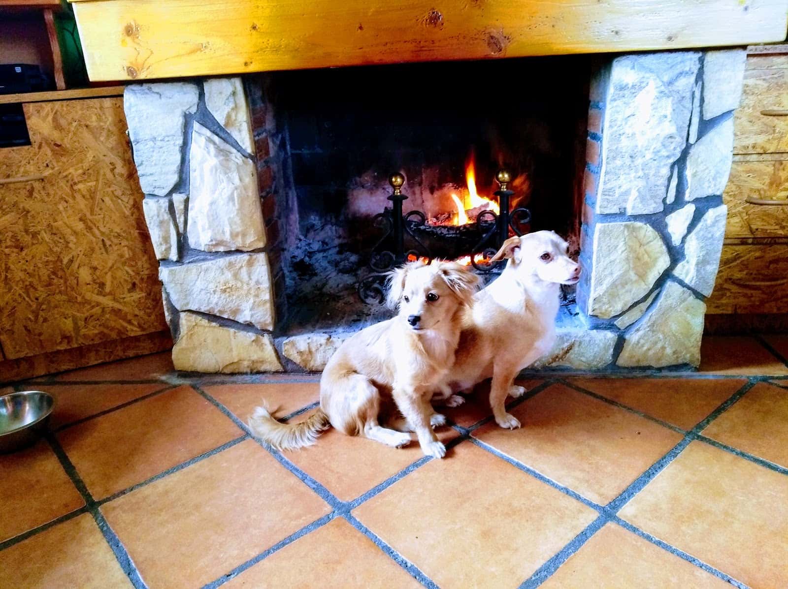 Centro Veterinario las Platerías