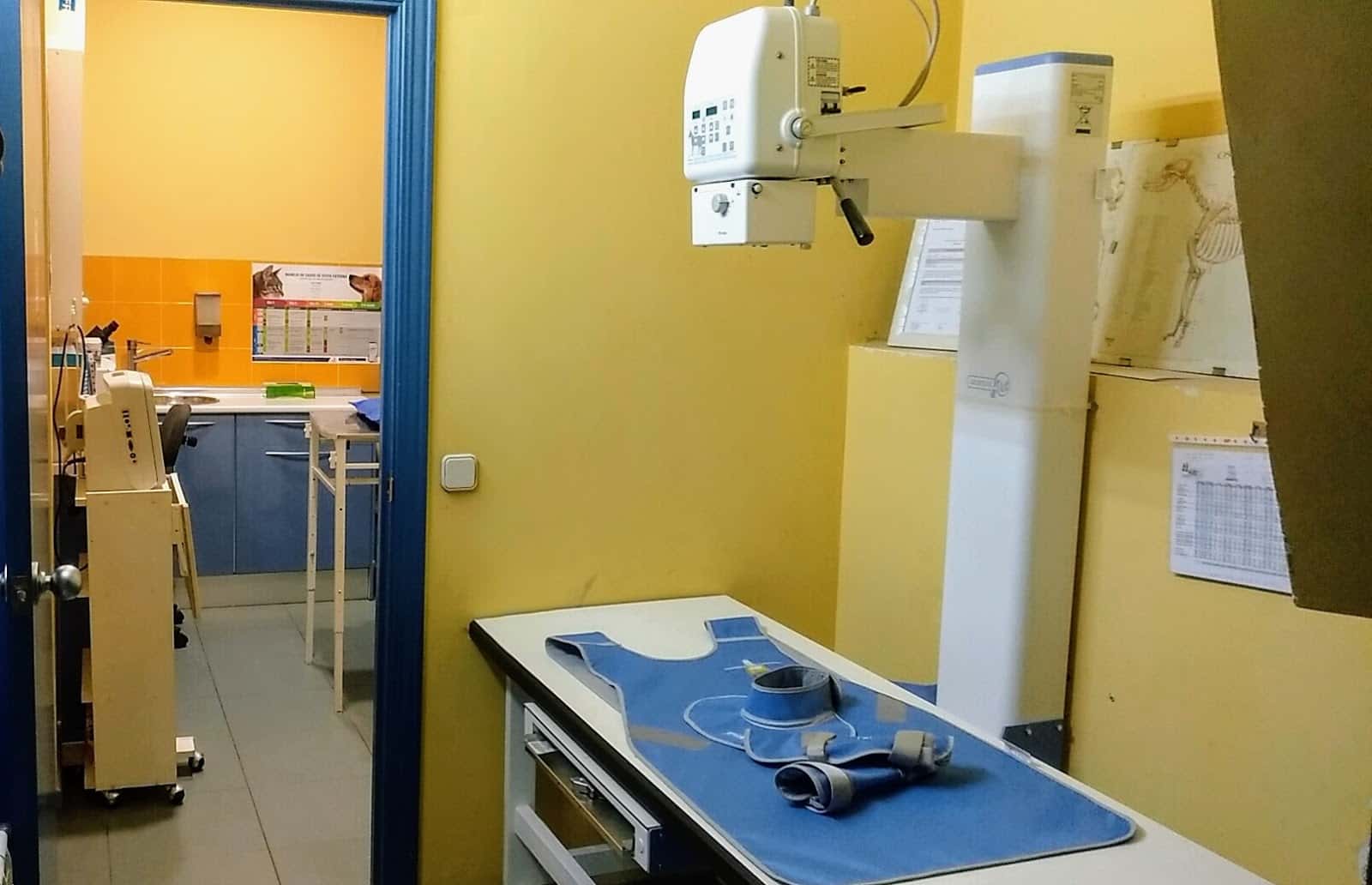 Centro Veterinario Las Navas
