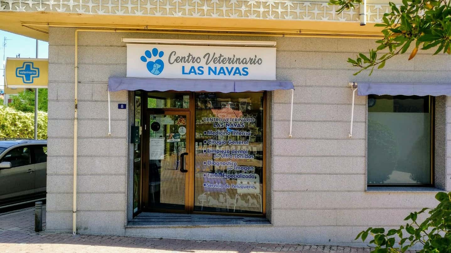 centro veterinario las navas veterinario centro en las navas del marques en avila principalImage ADOPTA Sitios Pet Friendly