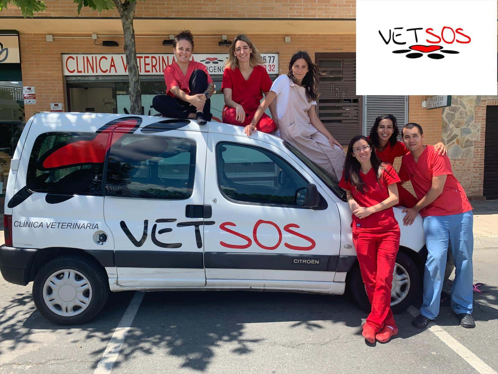 veterinario villanueva de la canada  vetsos veterinario centro en villanueva de la canada en madrid principalImage ADOPTA Sitios Pet Friendly