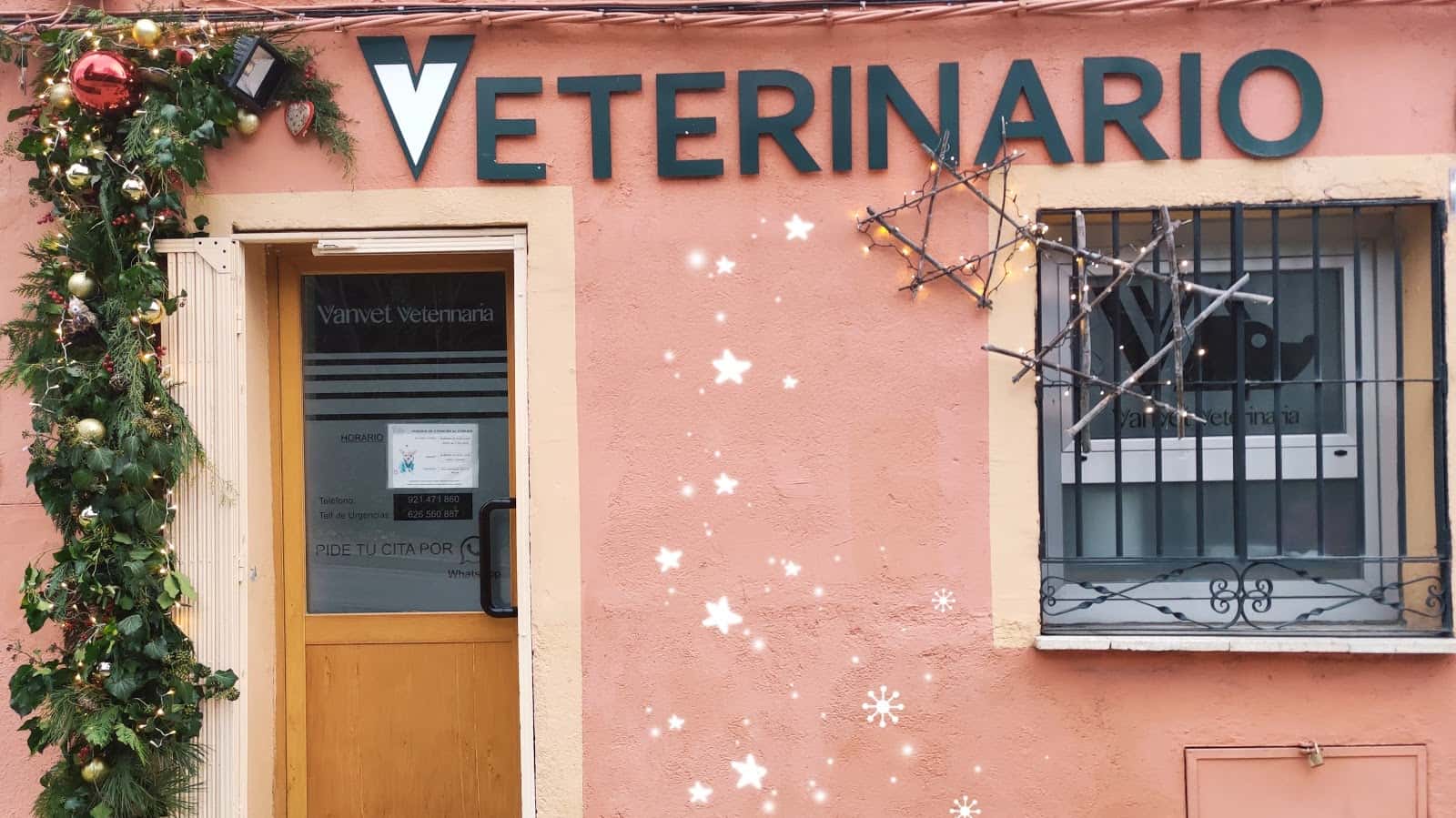 vanvet veterinaria veterinario centro en real sitio de san ildefonso en segovia principalImage ADOPTA Sitios Pet Friendly