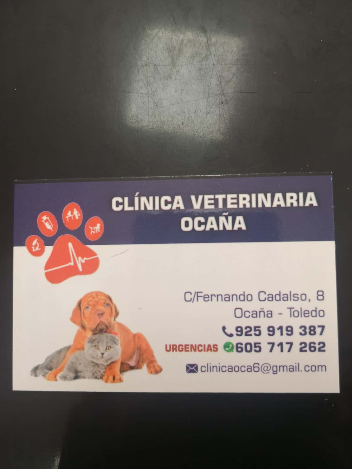 clinica veterinaria ocana veterinario clinica en ocana en toledo principalImage ADOPTA Sitios Pet Friendly