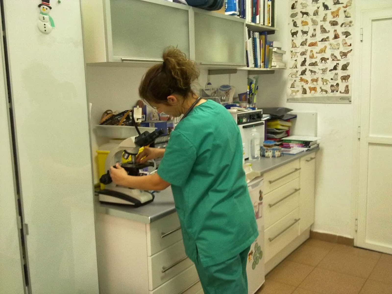 Clínica Veterinaria Ugán
