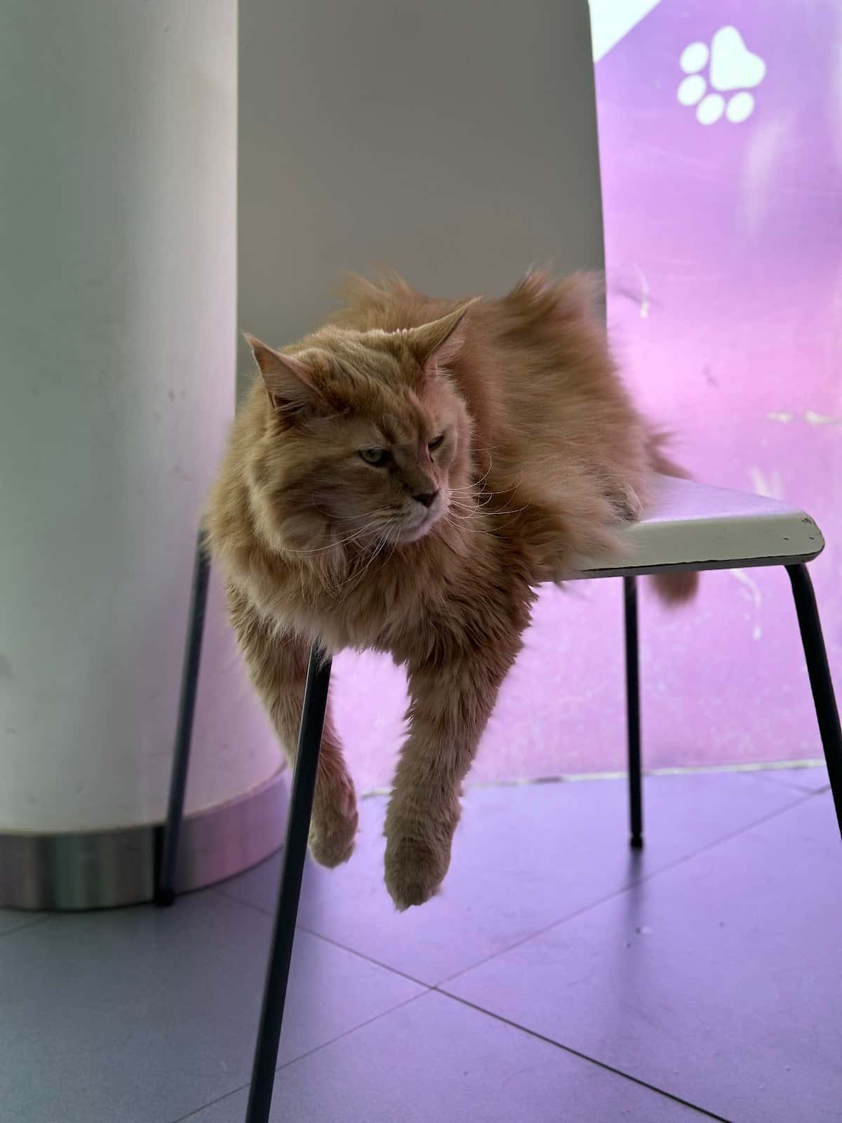 Clínica Veterinaria Alovera