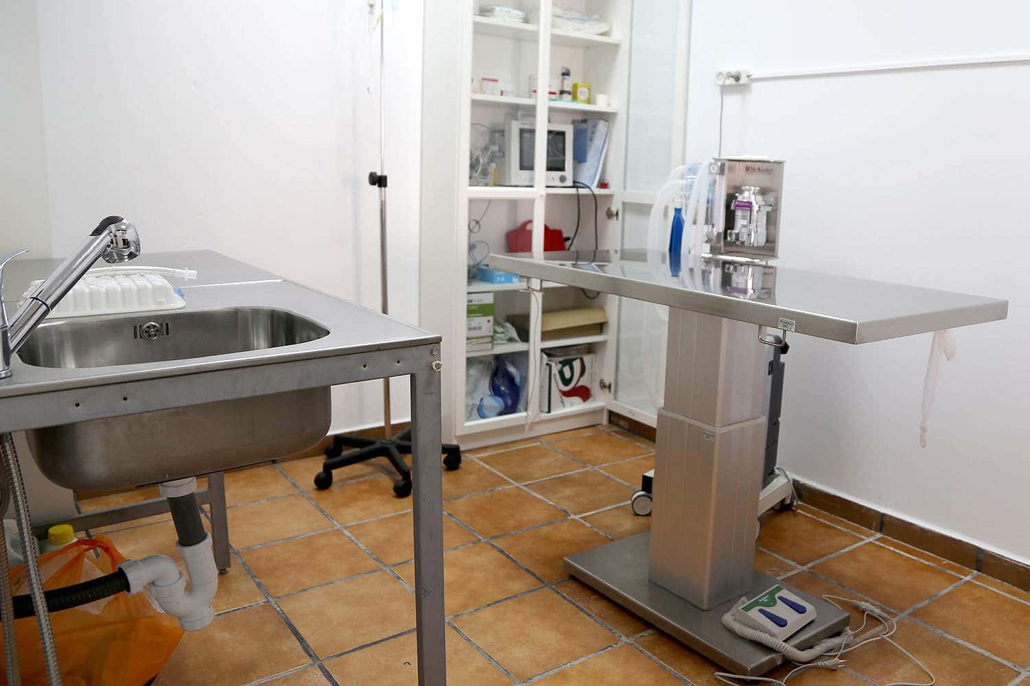 Clinica Veterinaria Colmevet