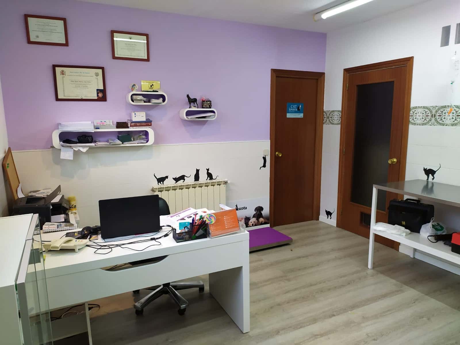 CLINICA VETERINARIA Parque de las Castillas - DOLORES ASPE