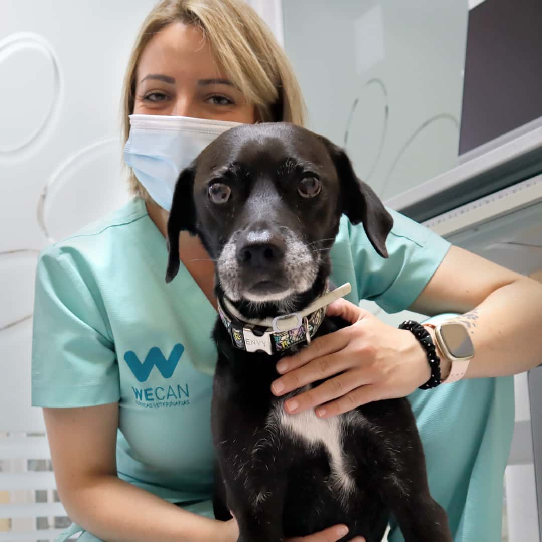 Clínica Veterinaria WECAN La Colina