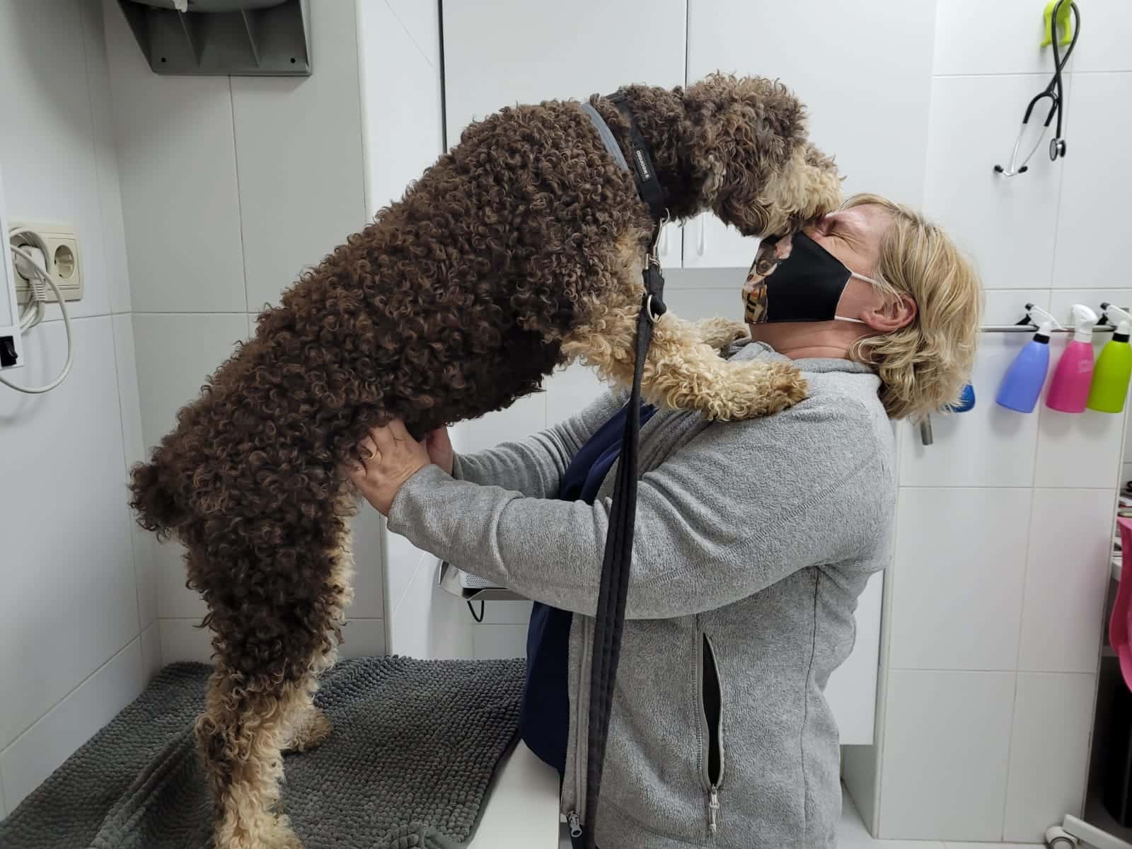 Anaga Centro Veterinario