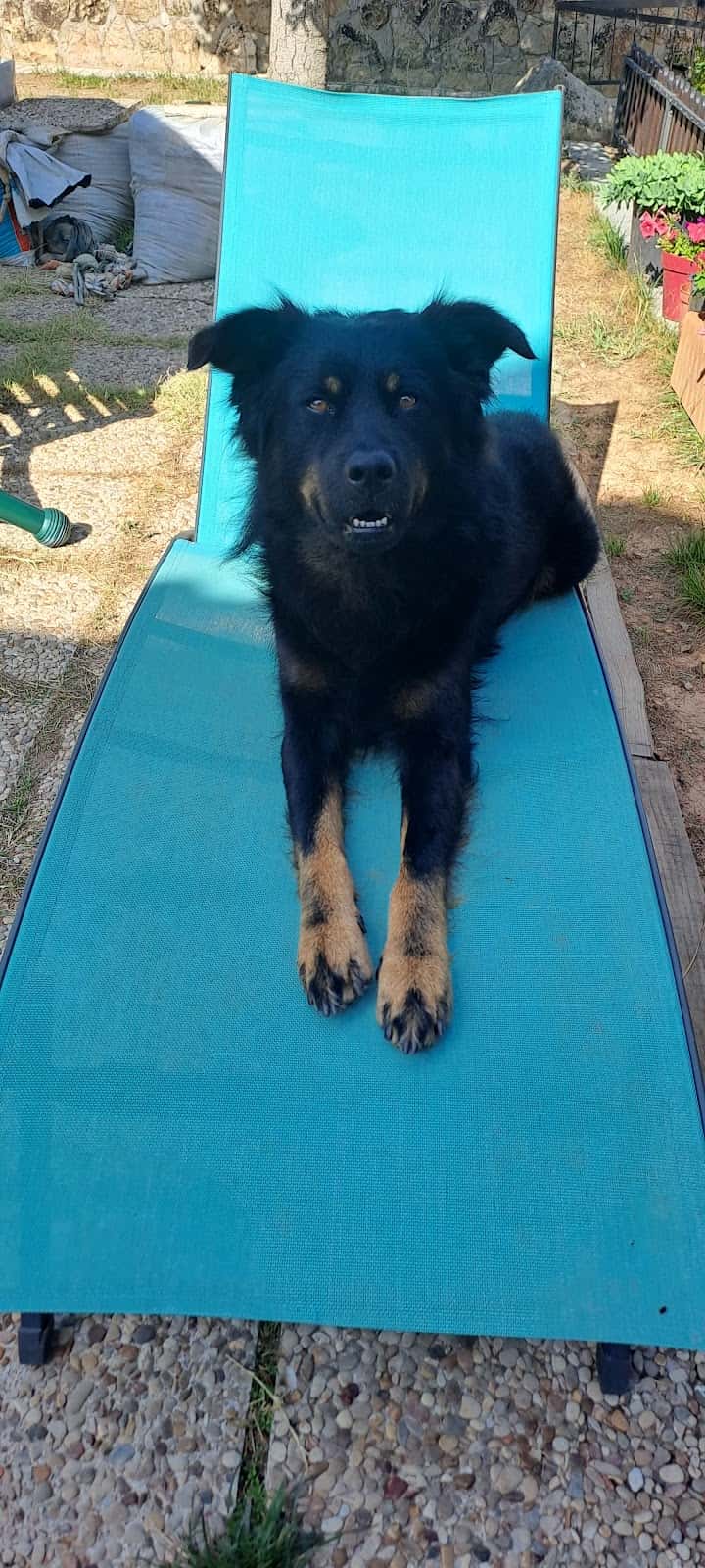 Clínica Veterinaria La Campiña