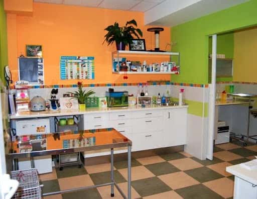 clinica veterinaria la campina veterinario clinica en cabanillas del campo en guadalajara principalImage ADOPTA Sitios Pet Friendly