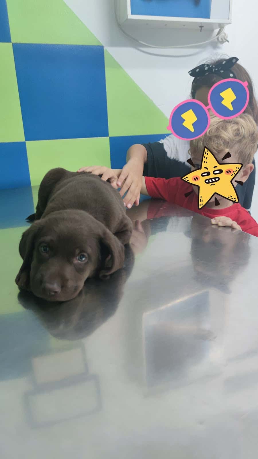 Clínica Veterinaria Cabanillas