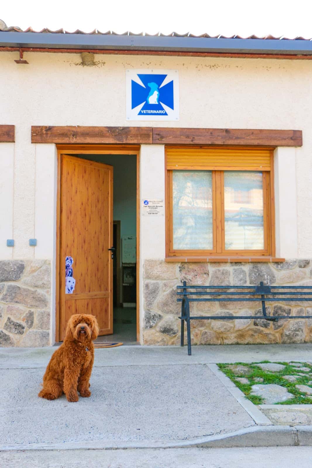 Consultorio Veterinario Sotosalbos