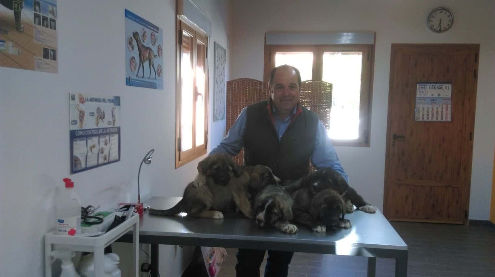 consultorio veterinario sotosalbos veterinario centro cerca de segovia principalImage ADOPTA Sitios Pet Friendly