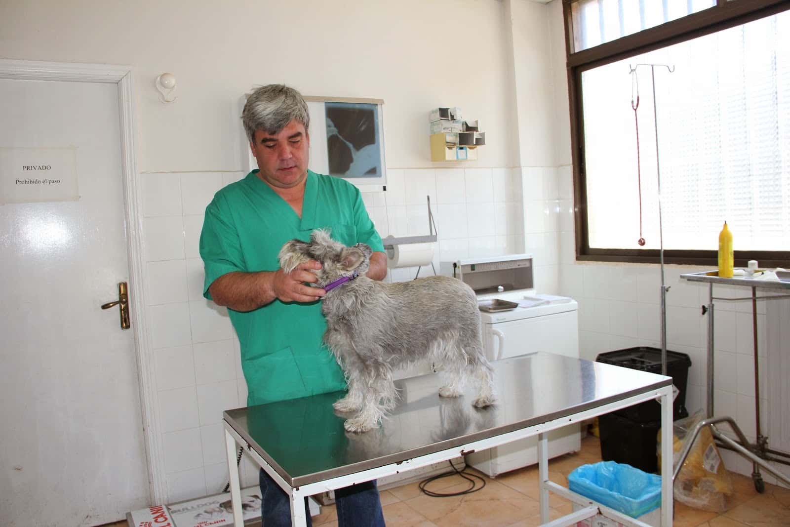 Clínica Veterinaria La Adrada