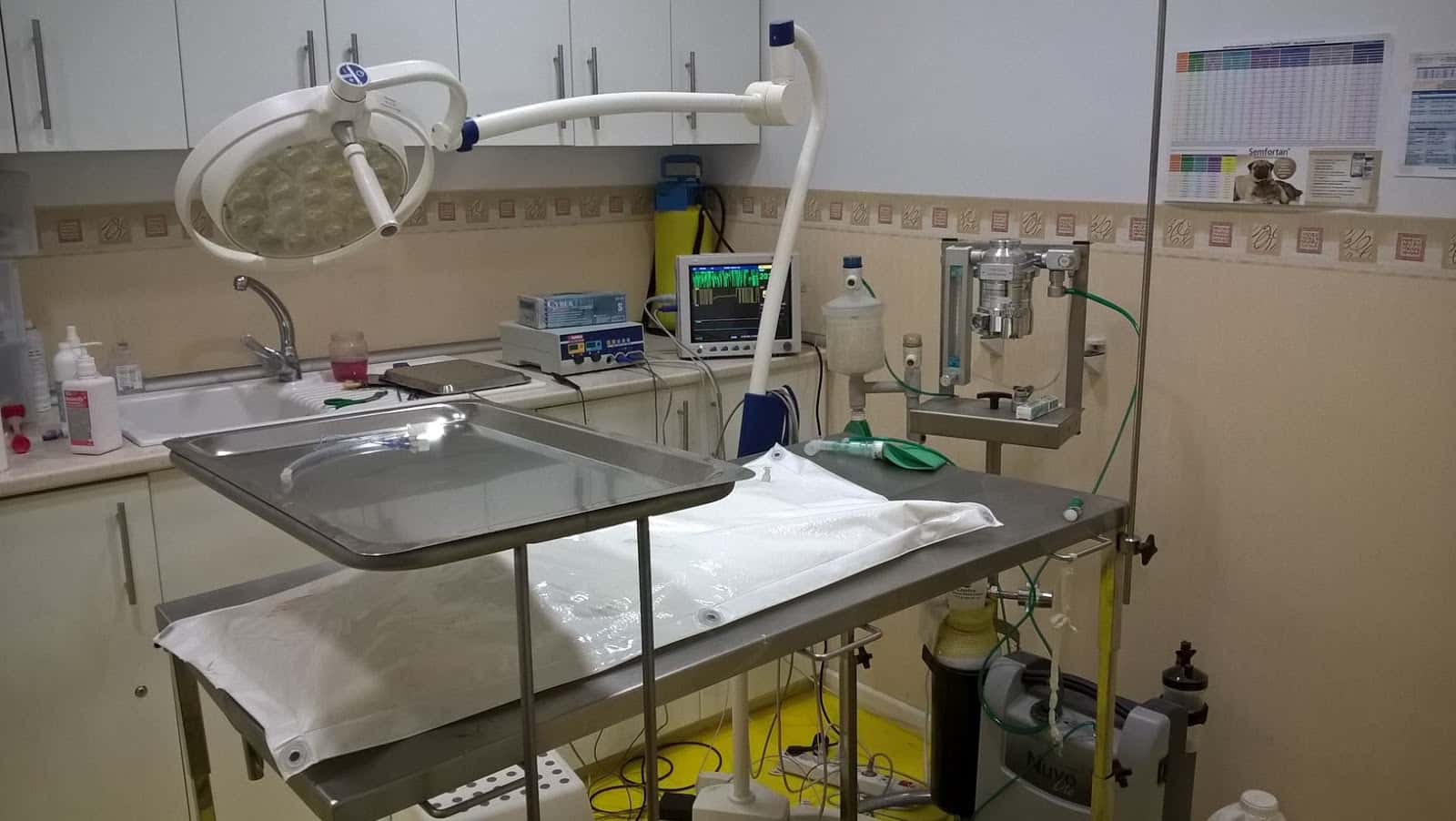 Centro Veterinario Isvet