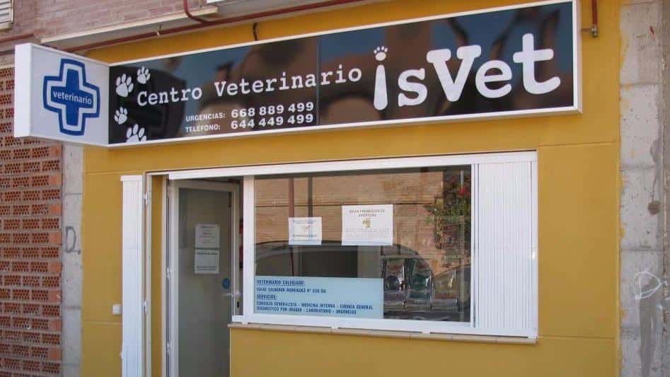 centro veterinario isvet veterinario centro en marchamalo en guadalajara principalImage ADOPTA Sitios Pet Friendly