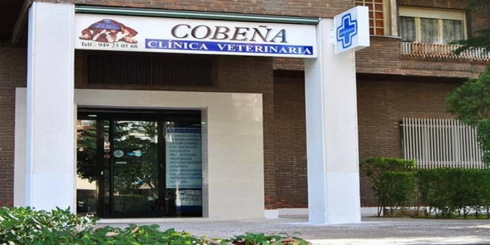 clinica veterinaria cobena veterinario clinica cerca de guadalajara principalImage ADOPTA Sitios Pet Friendly