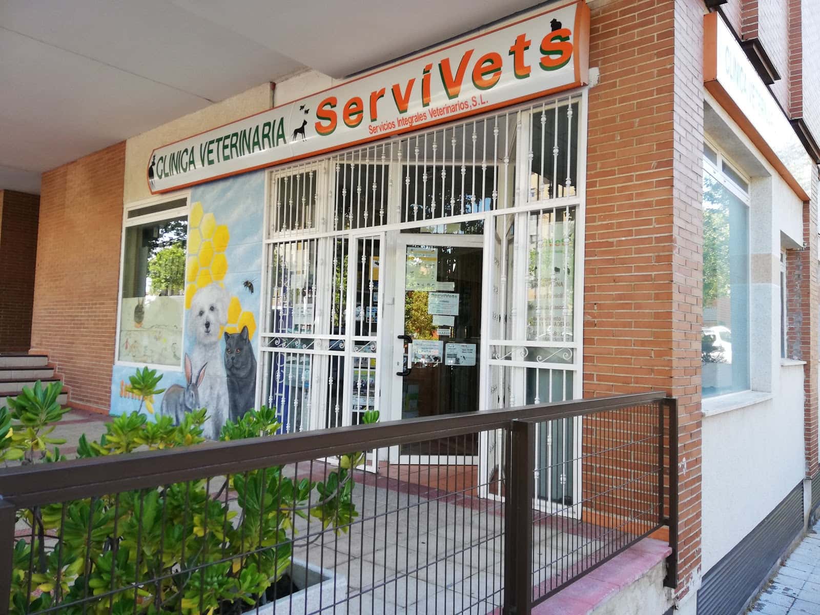 clinica veterinaria servivets veterinario clinica cerca de guadalajara principalImage ADOPTA Sitios Pet Friendly