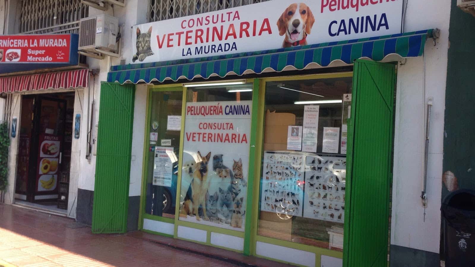 consulta veterinaria la murada veterinario centro en la murada en alicante principalImage ADOPTA Sitios Pet Friendly
