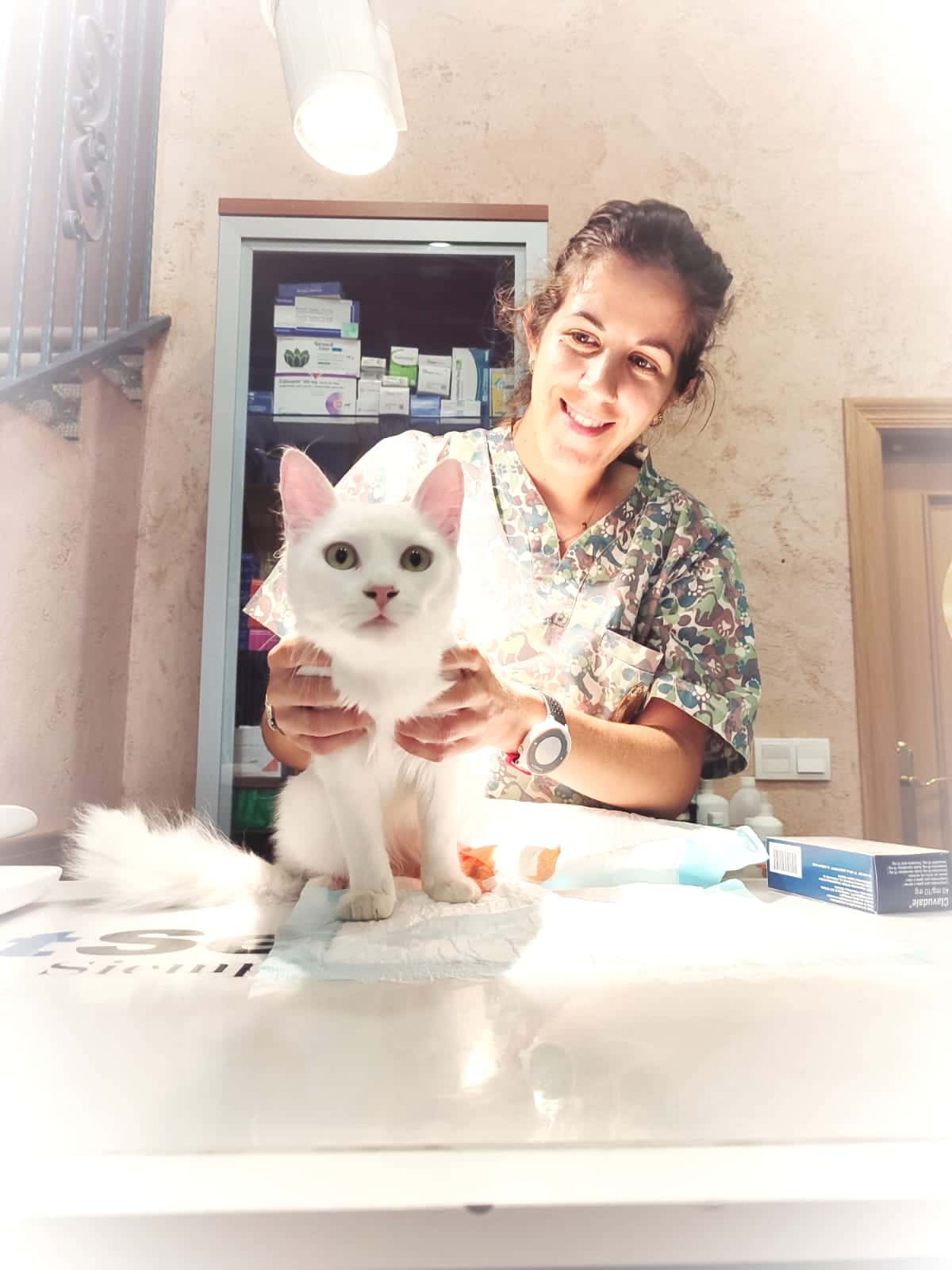 Centro veterinario Blanca