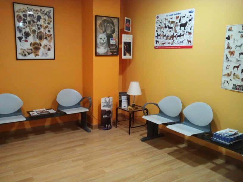 Clínica Veterinaria San Sebastian