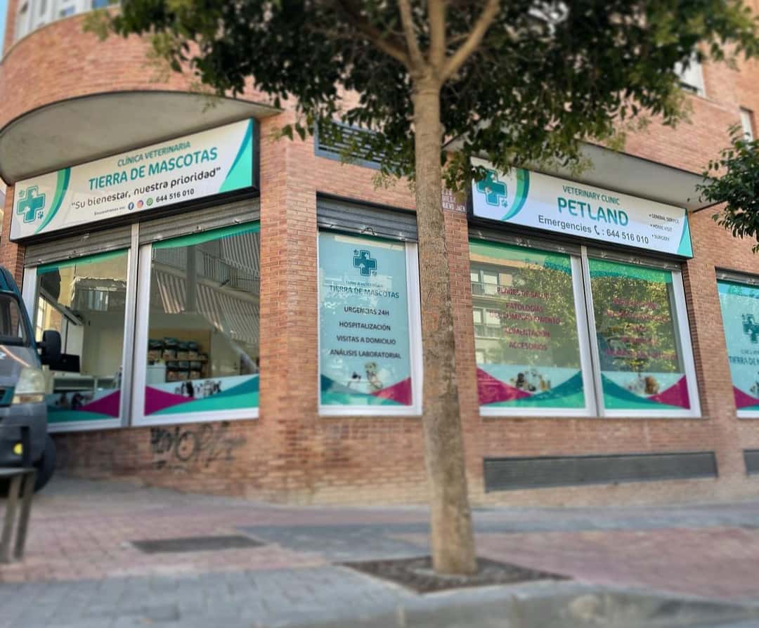 CLINICA VETERINARIA TIERRA DE MASCOTAS
