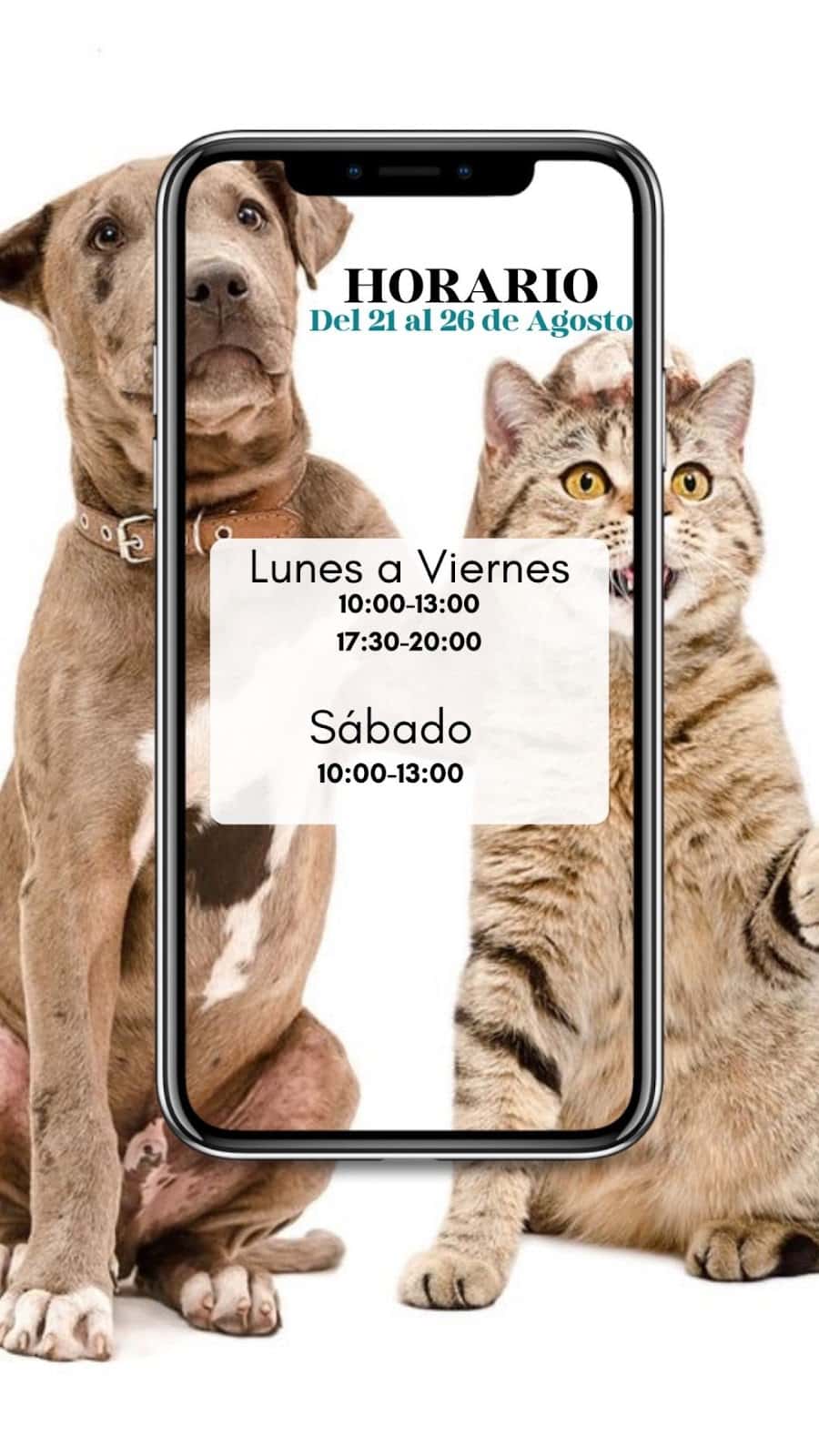 CLINICA VETERINARIA TIERRA DE MASCOTAS