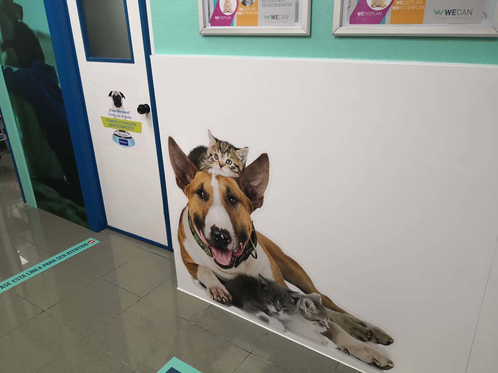 Clínica Veterinaria Dr.Manuel Atenza - Odontologia