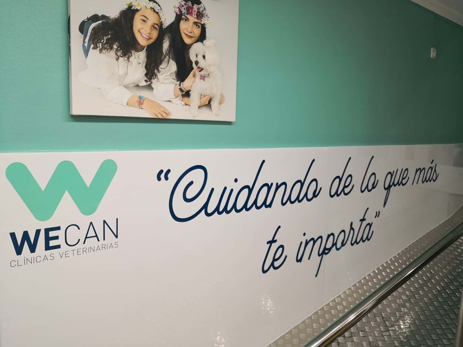 Clínica Veterinaria Dr.Manuel Atenza - Odontologia