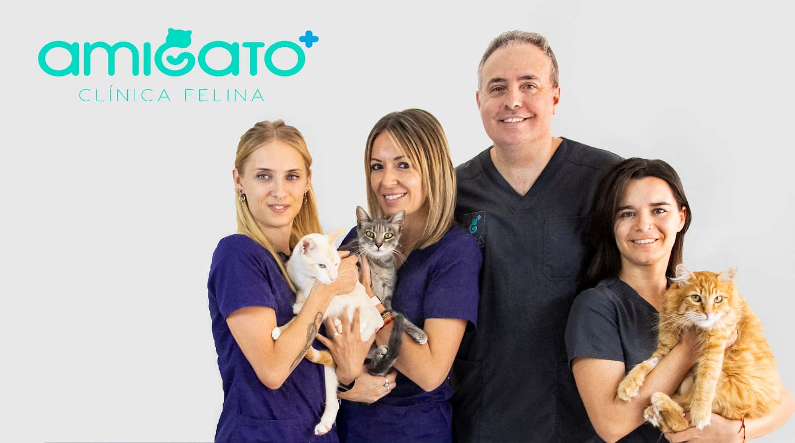 amigato clinica felina veterinario clinica barrio murcia en murcia en murcia principalImage ADOPTA Sitios Pet Friendly