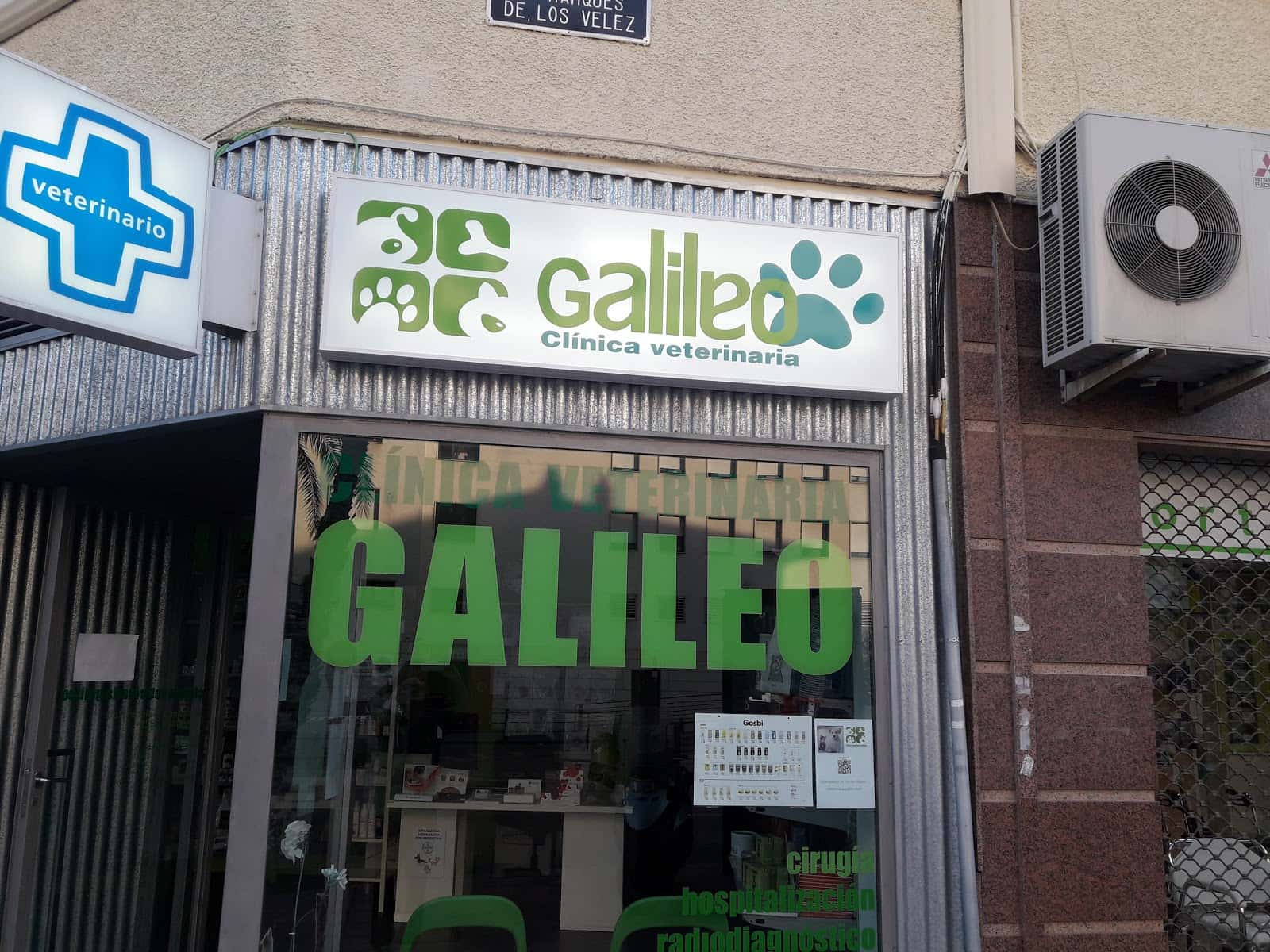 clinica veterinaria galileo veterinario clinica barrio murcia en murcia en murcia principalImage ADOPTA Sitios Pet Friendly