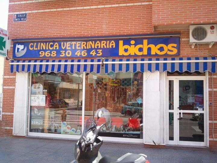 clinica veterinaria bichos veterinario clinica barrio murcia en murcia en murcia principalImage ADOPTA Sitios Pet Friendly