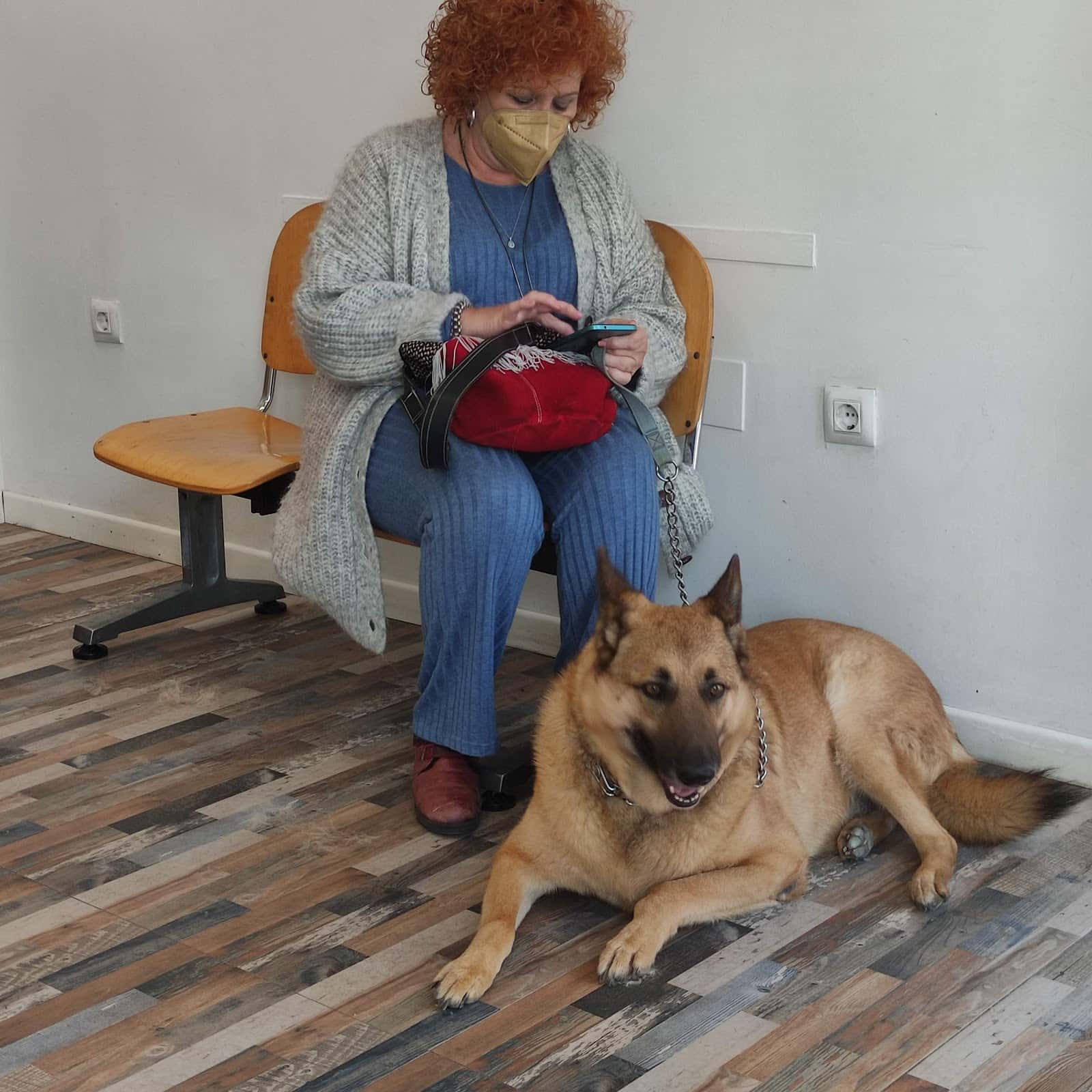 San Roque Veterinarios